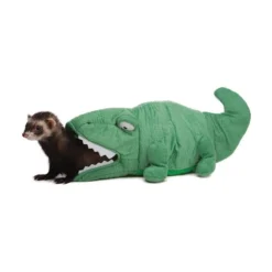 Alligator Pour Furet