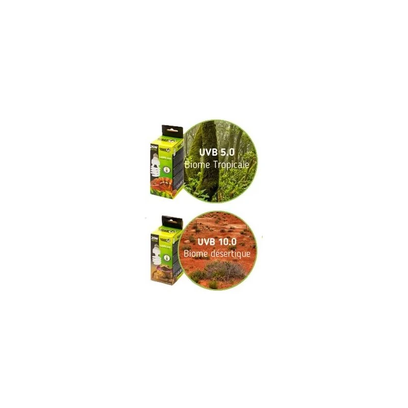 Ampoule UVB 13w/5.0 - Giganterra â Image 2