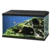 Aquarium Aqua 60 Led Bio CF150 Noir 60x30x41cm - Ciano