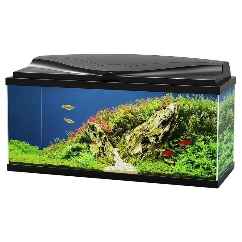 Aquarium Aqua 80 Led Bio CF150 Noir 80x30x41,5cm - Ciano – Image 2