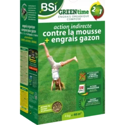 Engrais Gazon Complet Green Time 10kg - BSI
