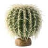 Exo Cactus Oursin M - Exo Terra