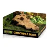Exo Crâne Crocodile 23x12x7,5cm - Exo Terra