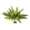 Exo Fougère De Boston M - Exo Terra