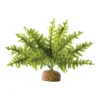 Exo Fougère De Boston S - Exo Terra