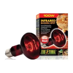 Exo Lampe Infrared Basking Spot 100w - Exo Terra