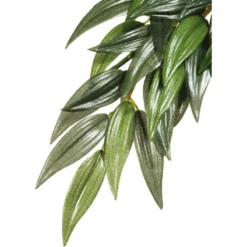 Exo Ruscus M - Exo Terra