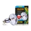 Exo Sun Glo Lampe Halogène 75w - Exo Terra