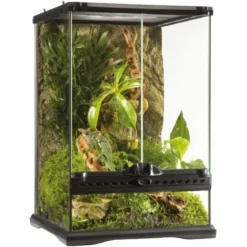 Exo Terrarium (arrière-plan Inclus) 30x30x45cm - Exo Terra