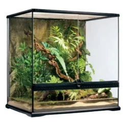 Exo Terrarium (arrière-plan Inclus) 60x45x60cm - Exo Terra