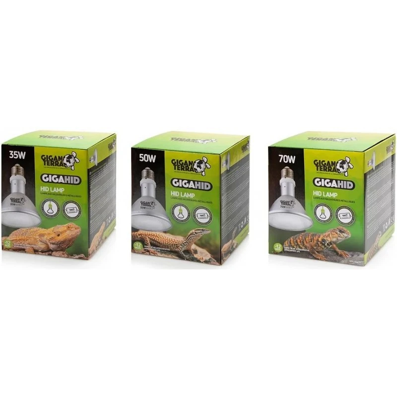 GIGAHID Lampes HID 50w - Giganterra – Image 2