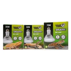 GIGAHID Lampes HID 70w - Giganterra