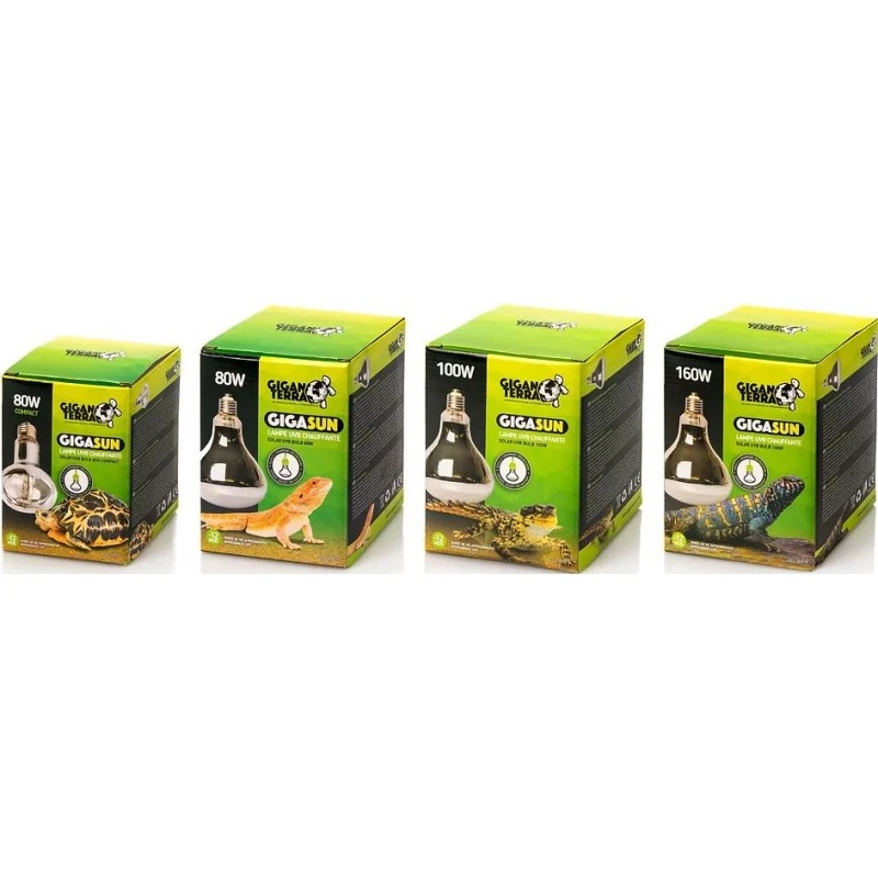 GIGASUN Ampoule Mercure 80w Compact - Giganterra – Image 2