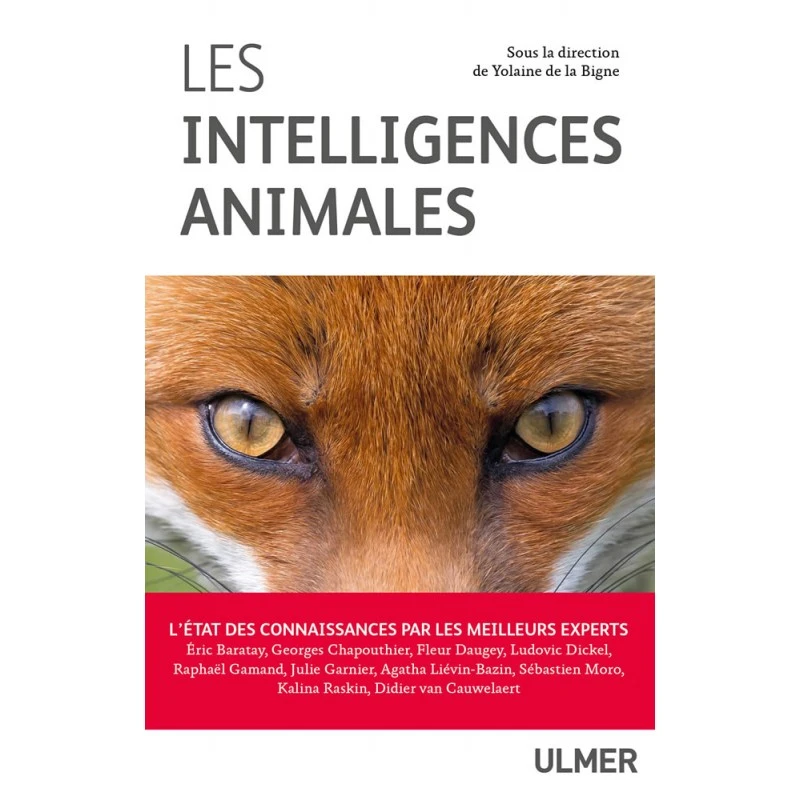 Les Intelligences Animales, L'état Des Connaissances Par Les Meilleurs Experts - Yolaine DE LA BIGNE