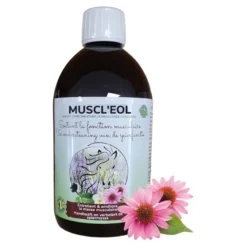 Muscl'eol Soutient La Fonction Musculaire 5L - Essence Of Life