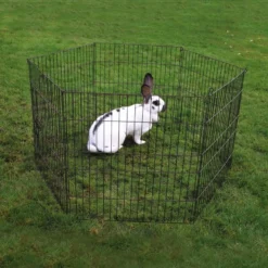 Parc Pour Rongeurs Noir 116x60x58cm - Duvo+