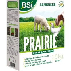Semences Gazon Prairie 2,5kg - BSI