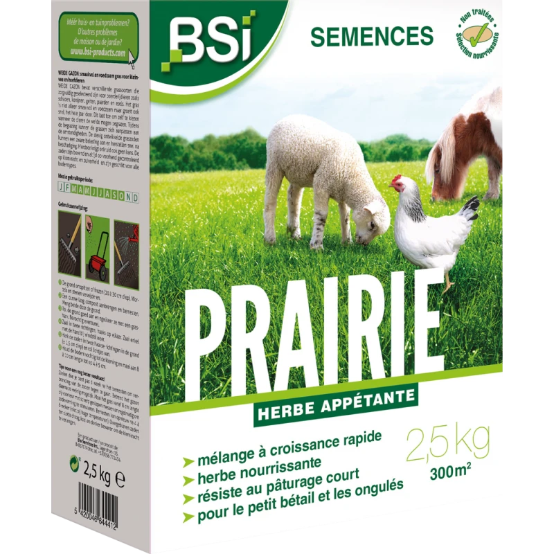 Semences Gazon Prairie 2,5kg - BSI
