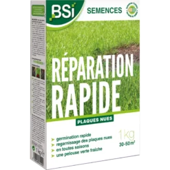 Semences Gazon Réparation 2,5kg - Bsi