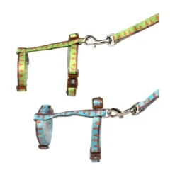 Set De Promenade Carrot Vert Ou Bleu 25-45cm/10mm - 120cm/10mm - Duvo+