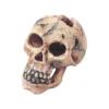 Skull S-11cm - Aqua Della