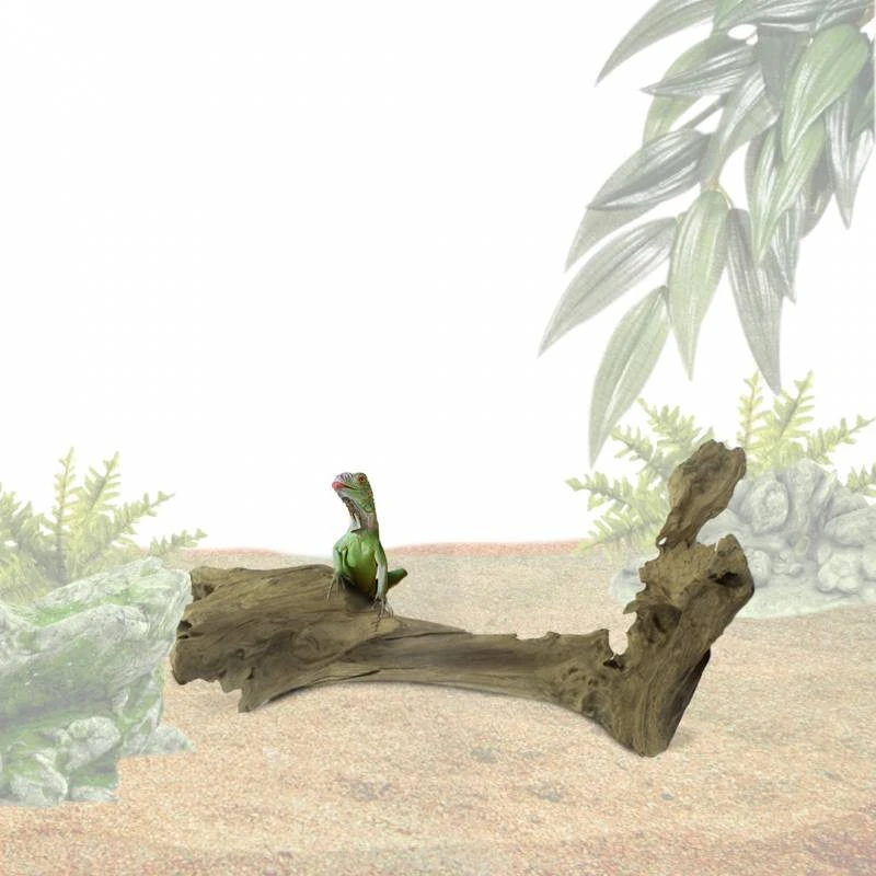 Teck Carotte S/20-30 Cm - Back Zoo Nature – Image 2