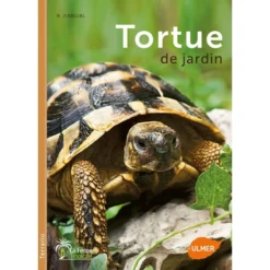 Tortue De Jardin - Reiner ZIRNGIBL
