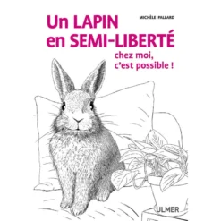 Un Lapin En Semi-liberté Chez Moi, C'est Possible! - Michèle PALLARD